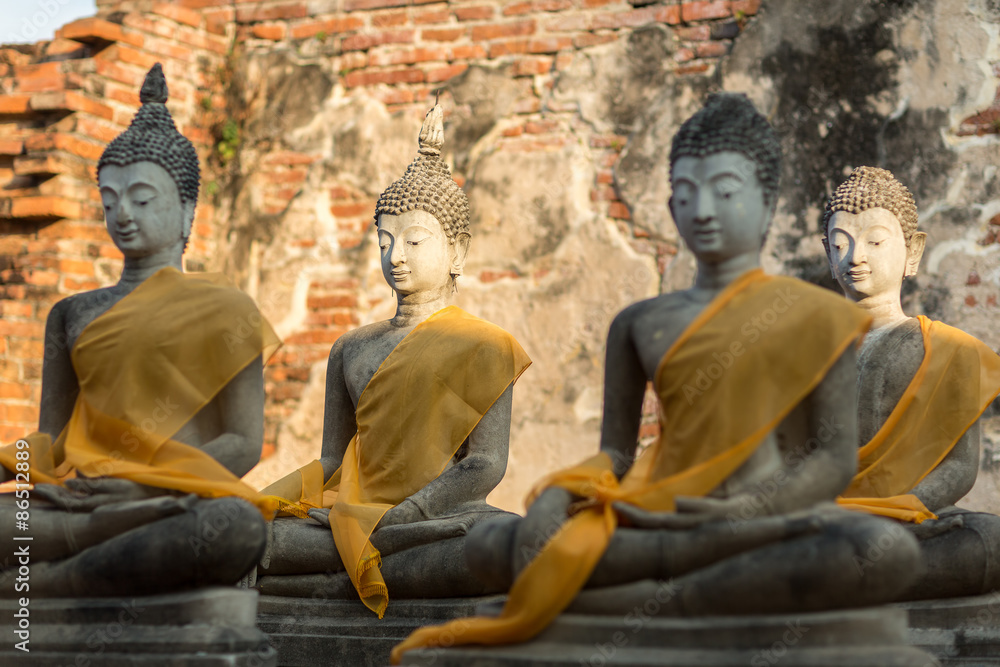 Fototapeta premium Buddha images