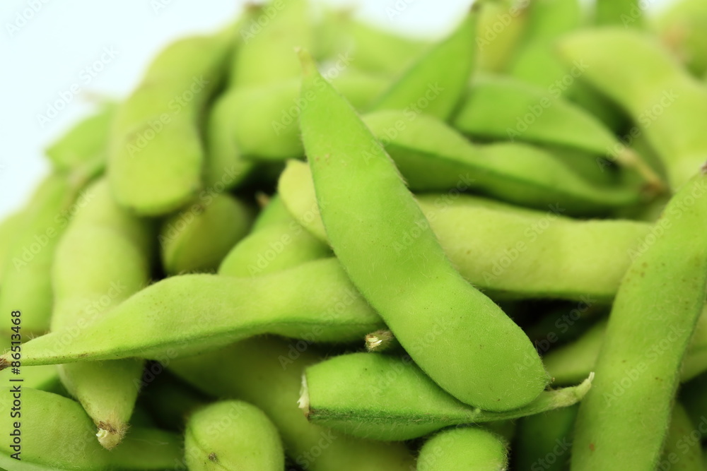 枝豆 枝豆