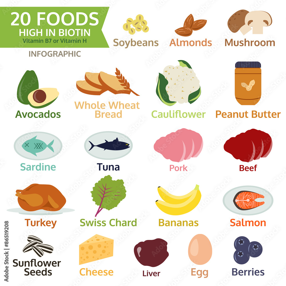 twenty Foods High in Biotin, vitamin B or vitamin H, vegetable, Stock  Vector | Adobe Stock