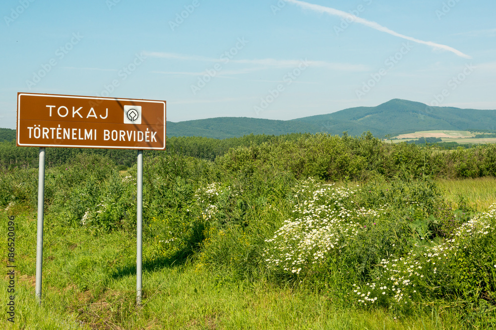 Touristic sign of famous Tokaj wine region, Hungary