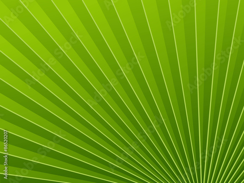 Green wallpapers palm tree
