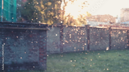 A blurred pollen tsunami in a city park – surreal, dreamy concept