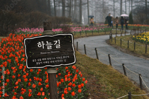 Road to Heaven - Entrance of The Garden of Morning Calm, South Korea