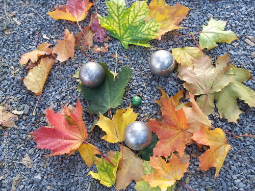 petanque balls in autumn on a bed of mapleleaves in a pebbles ground photo