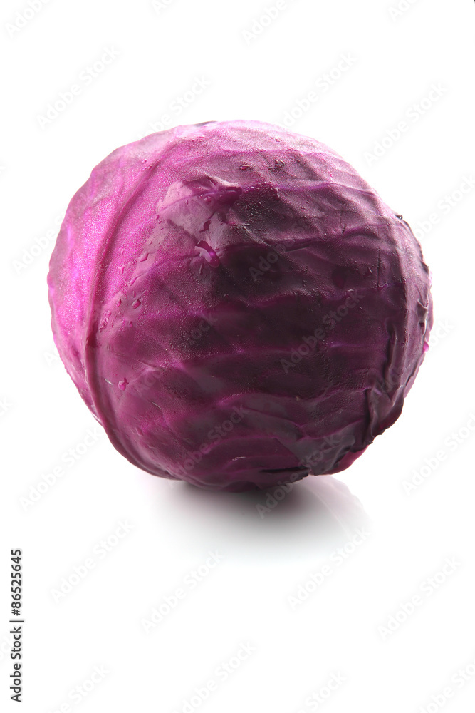 Cabbage Cabbage