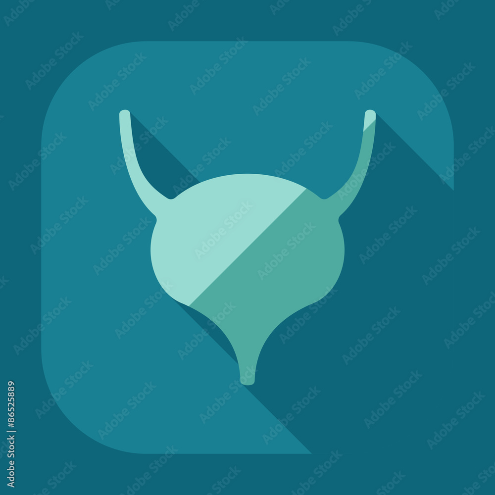 Flat modern design with shadow icons Bladder Flat modern design with shadow icons Bladder