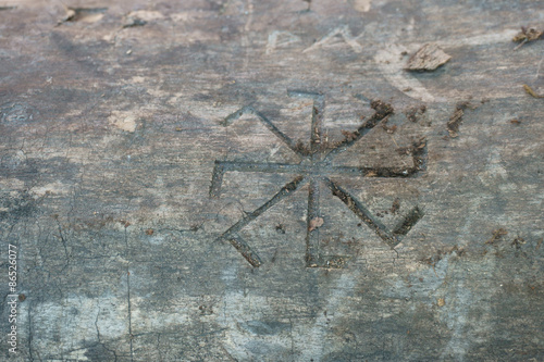 Kolovrat, the sign sun on a tree photo