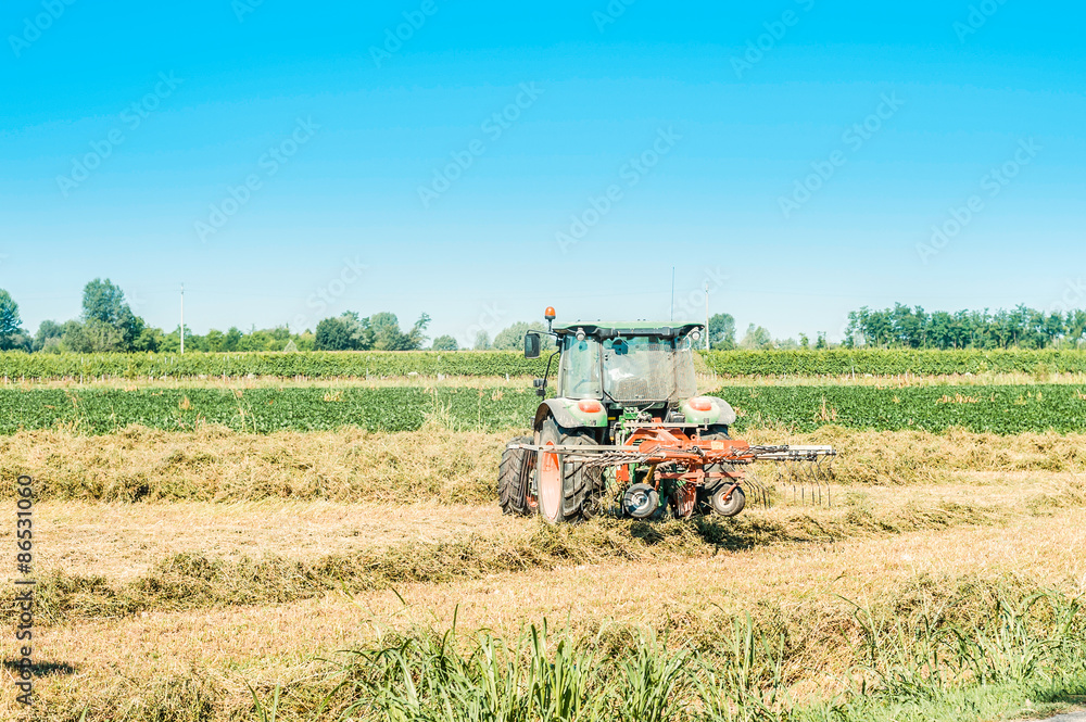Obraz premium Agricultural labor