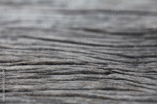 old wood texture of dried