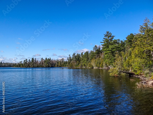 Sun Shining on the Bank of a Wilderness Lake