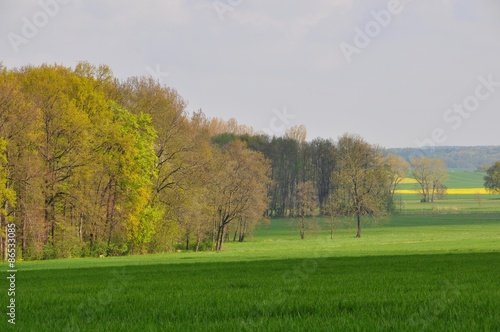 Landschaft um Großböhlen