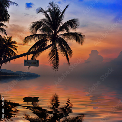 Palm Trees silhouettes on the Colorful Sky background with refle