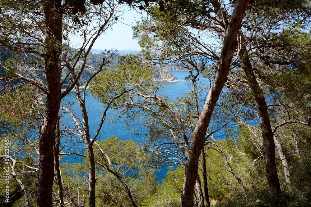Javea Javea