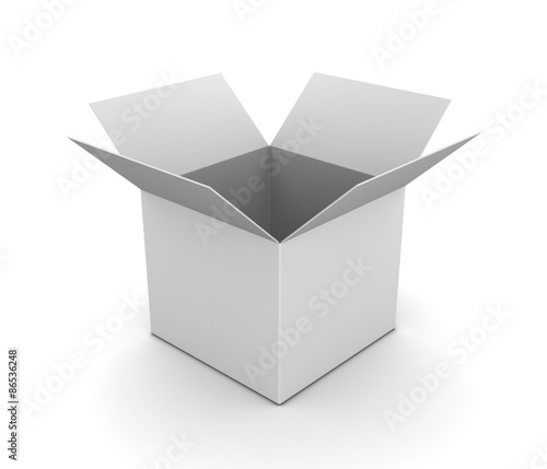 opened blank white cardboard box