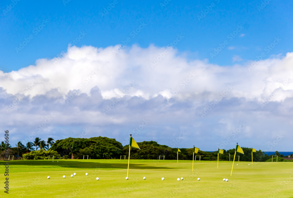 Fototapeta premium Golf field background