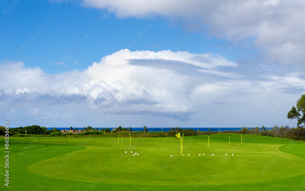 Golf field background Golf field background