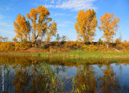 beautiful autumn lake landscape