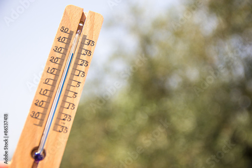 Wood Thermometer