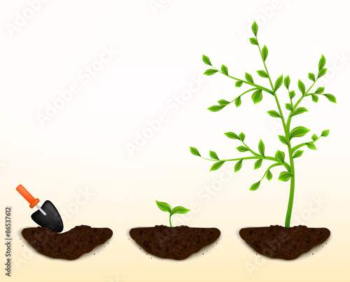 grow plants