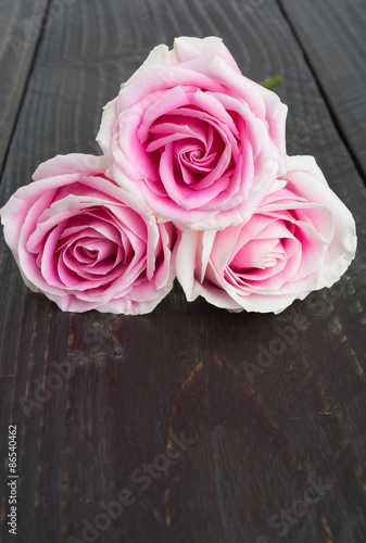 white and pink rose on wood background © topntp