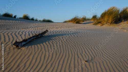 Dune in French Atlantic coast at sunset