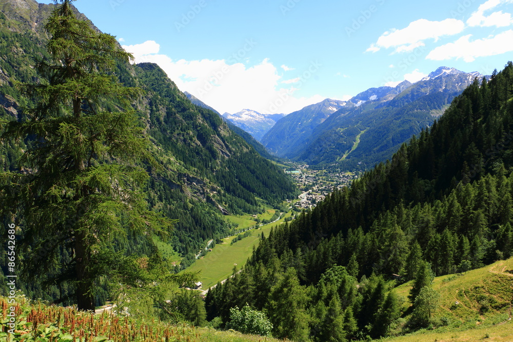 Mountain landscape of Gressoney Val d'Aosta Italy in summer