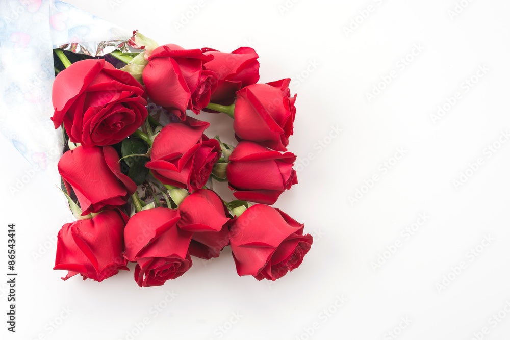 red rose isolated on white background red rose isolated on white background