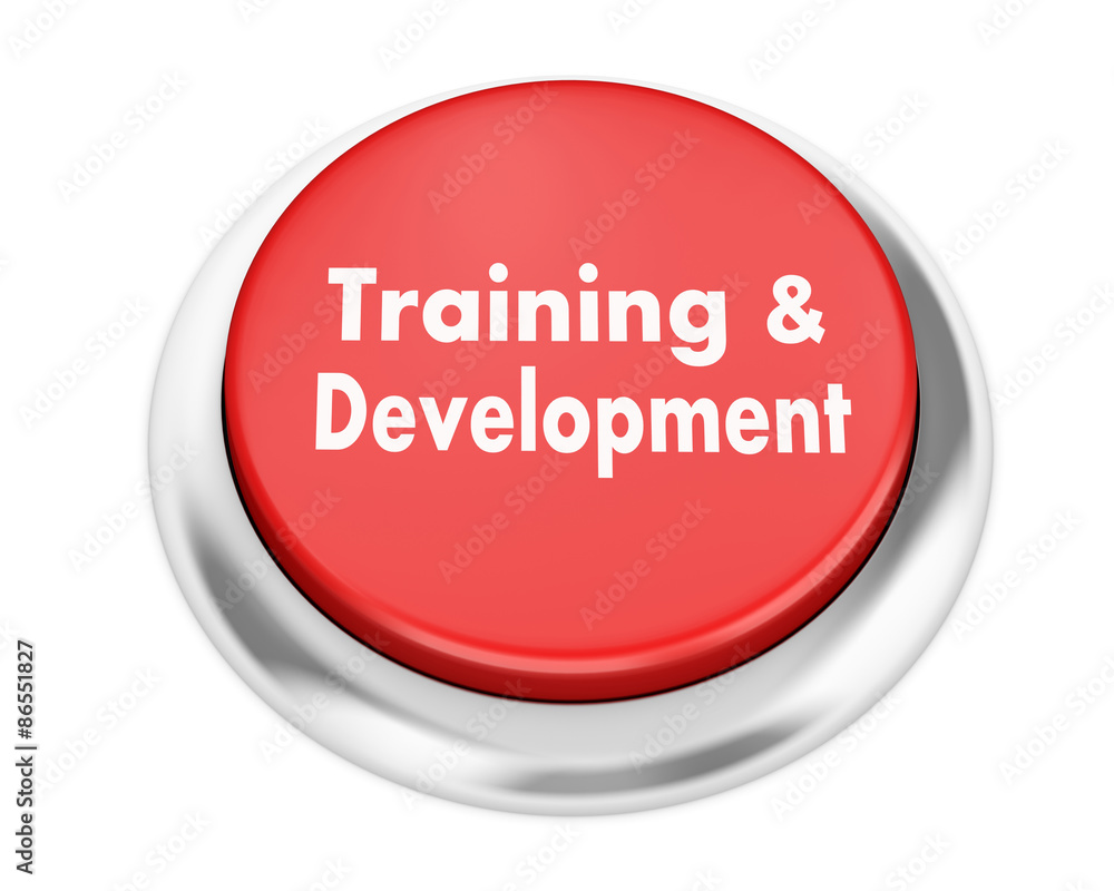 Training & Development Training & Development