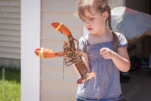 Fotografi curious little girl holding live lobster