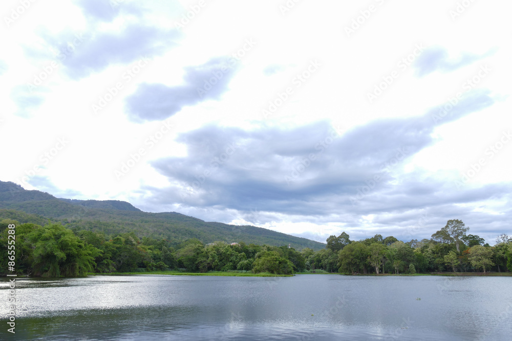 scenic of the mountain and the pond