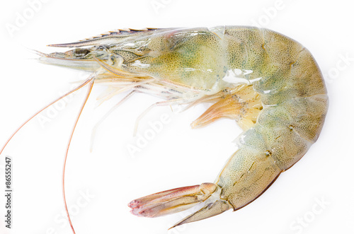 Close up banana prawn or shrimp photo