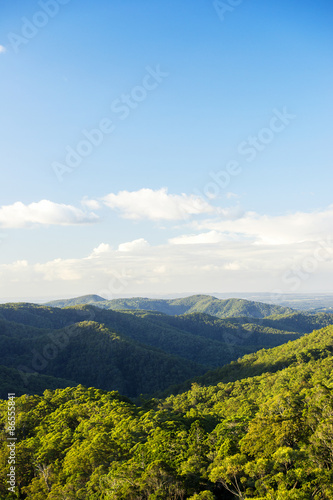 Fototapeta Naklejka Na Ścianę i Meble -  Mountain view of the Gold Coast Hinterlands in the late afternoon.