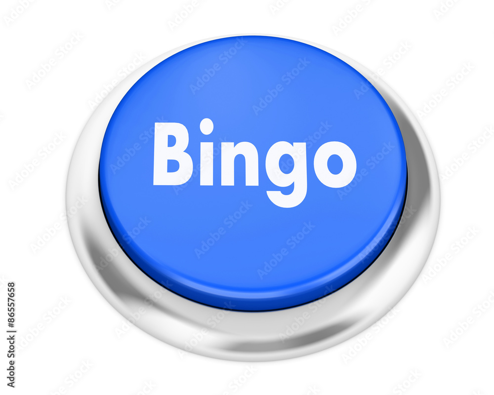 bingo bingo