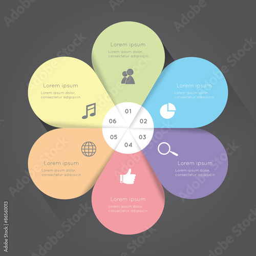 Infographic colorful flower