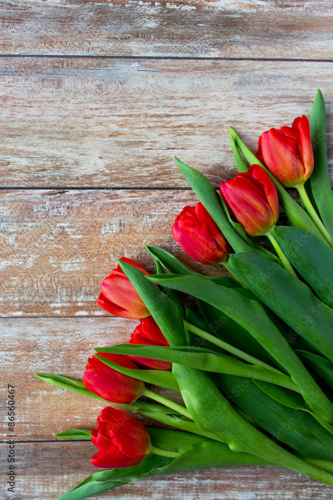 close up of red tulips on wooden background