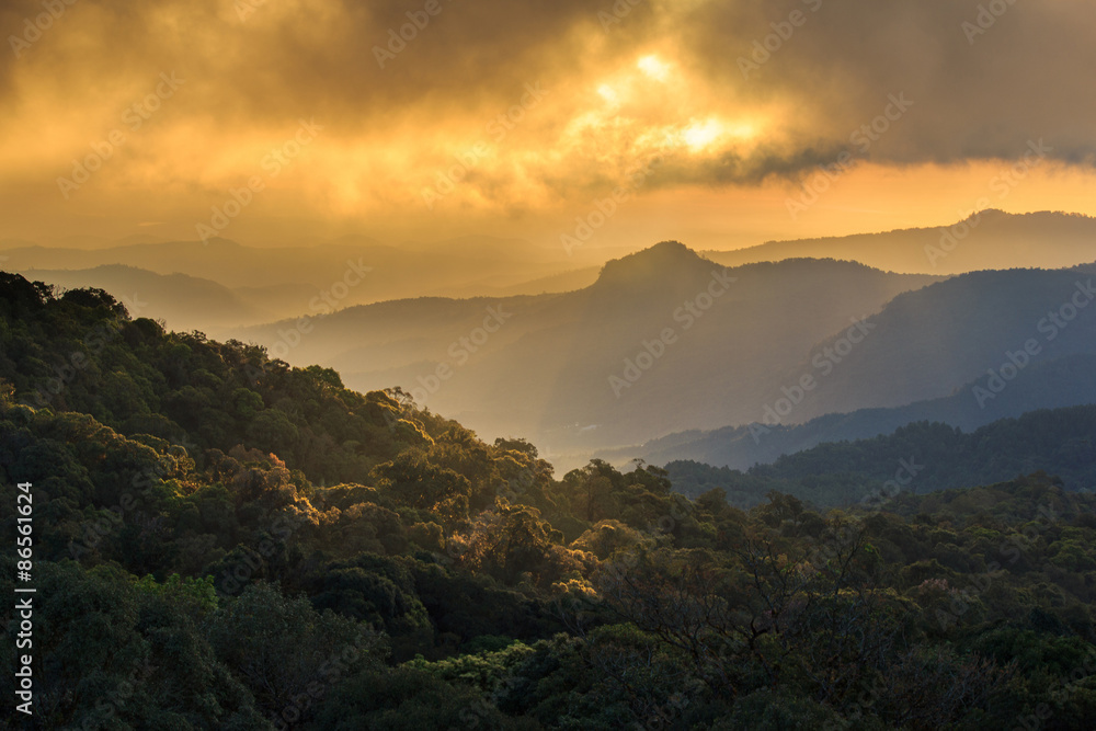 Golden sunbeams of autumn on a misty of Inthanon Mountain, Chiang Mai, Thailand