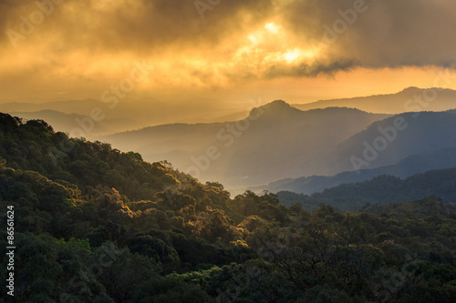 Golden sunbeams of autumn on a misty of Inthanon Mountain  Chiang Mai  Thailand
