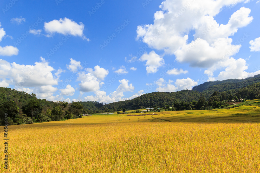 Sunshine Day at Green Terraced Rice Field in Mae Klang Luang , Mae Chaem, Chiang Mai, Thailand