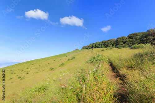 Wide meadow with clouds in blue sky in sunny day