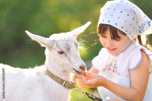 portrait of a beautiful little girl in summer
