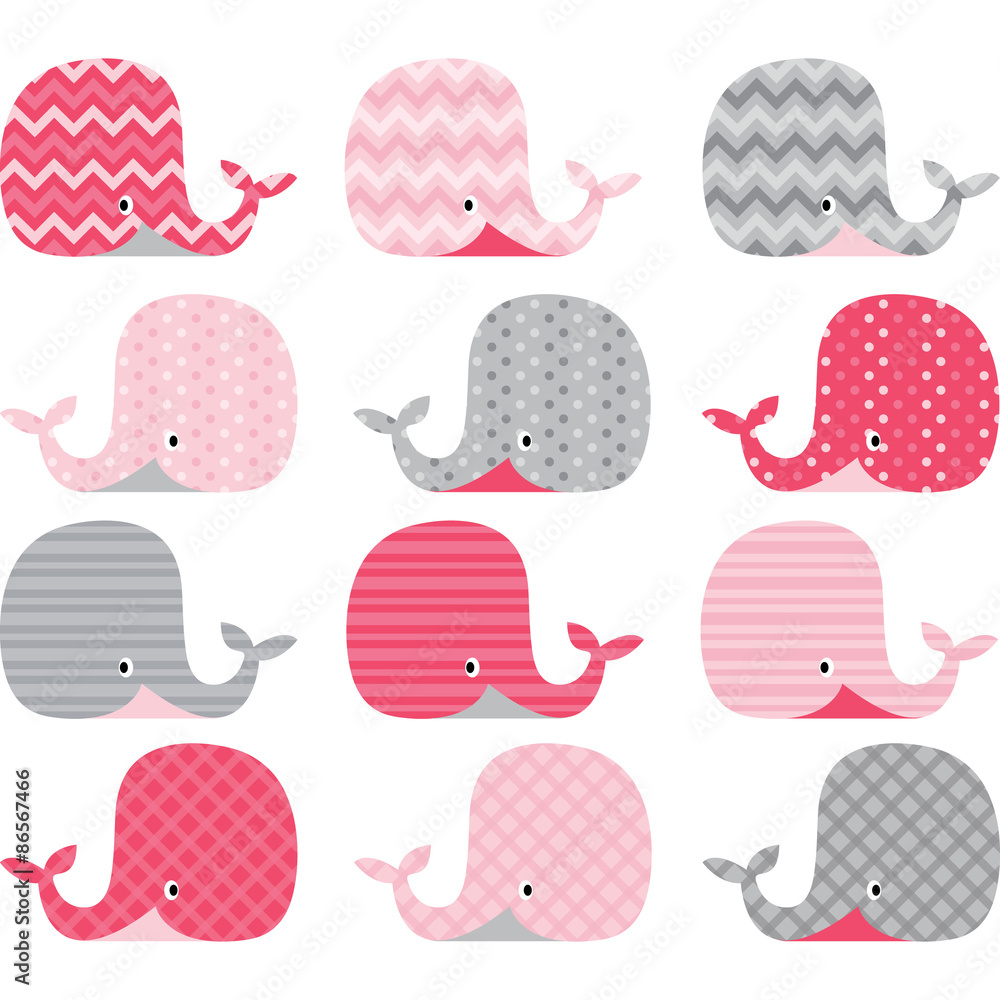 Fototapeta premium Pink and Grey Cute Whale Collections