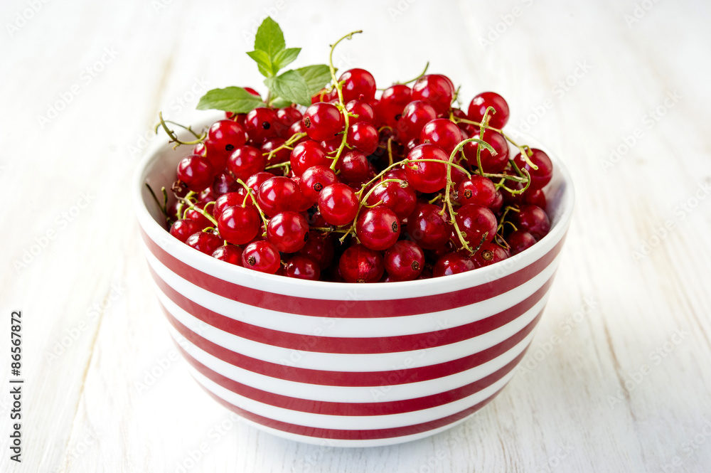 Red Currant Red Currant