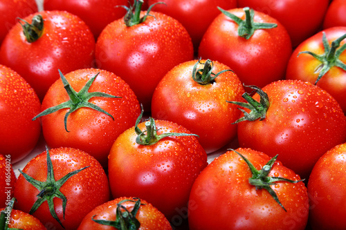 Fresh tomato fruits as a background