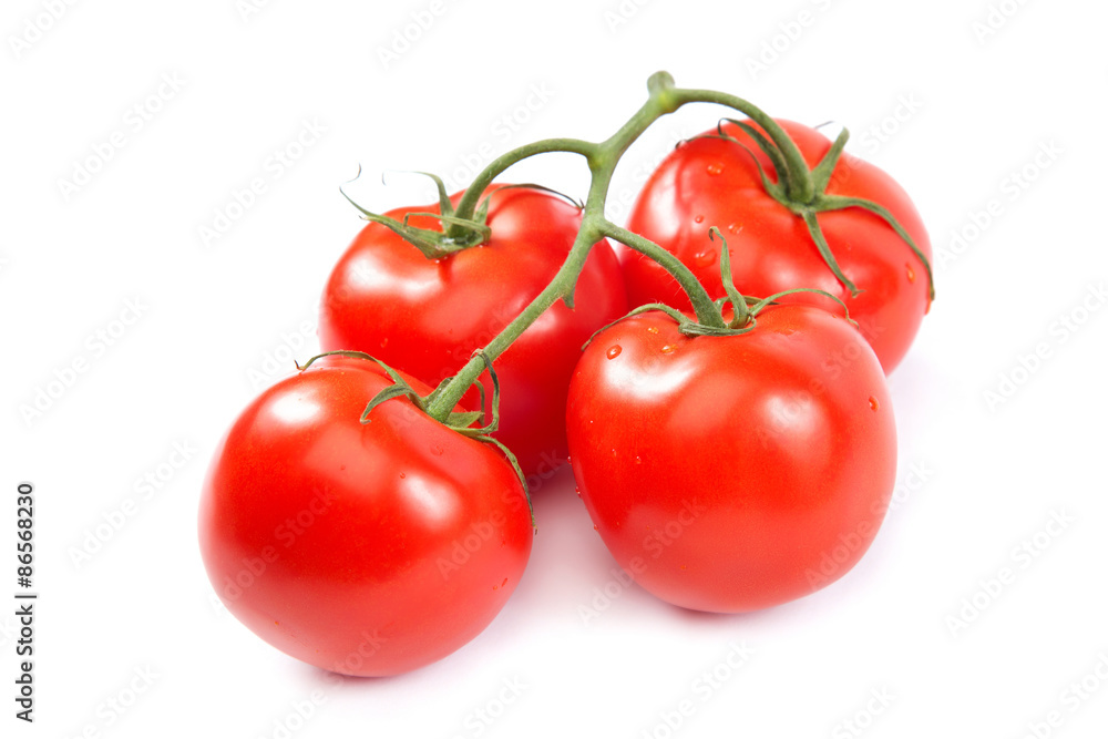 A branch of fresh tomatoes on white background. A branch of fresh tomatoes on white background.