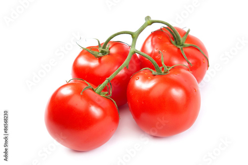 A branch of fresh tomatoes on white background.