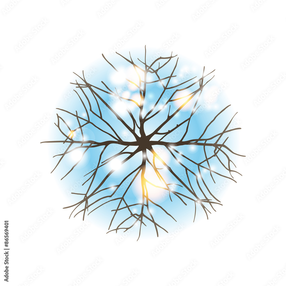 Fototapeta premium winter tree top view