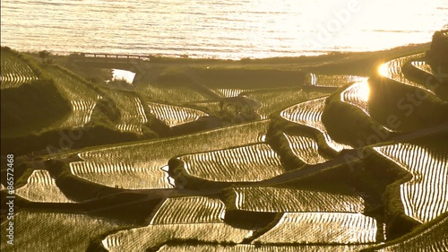 夕方の浜野浦の棚田