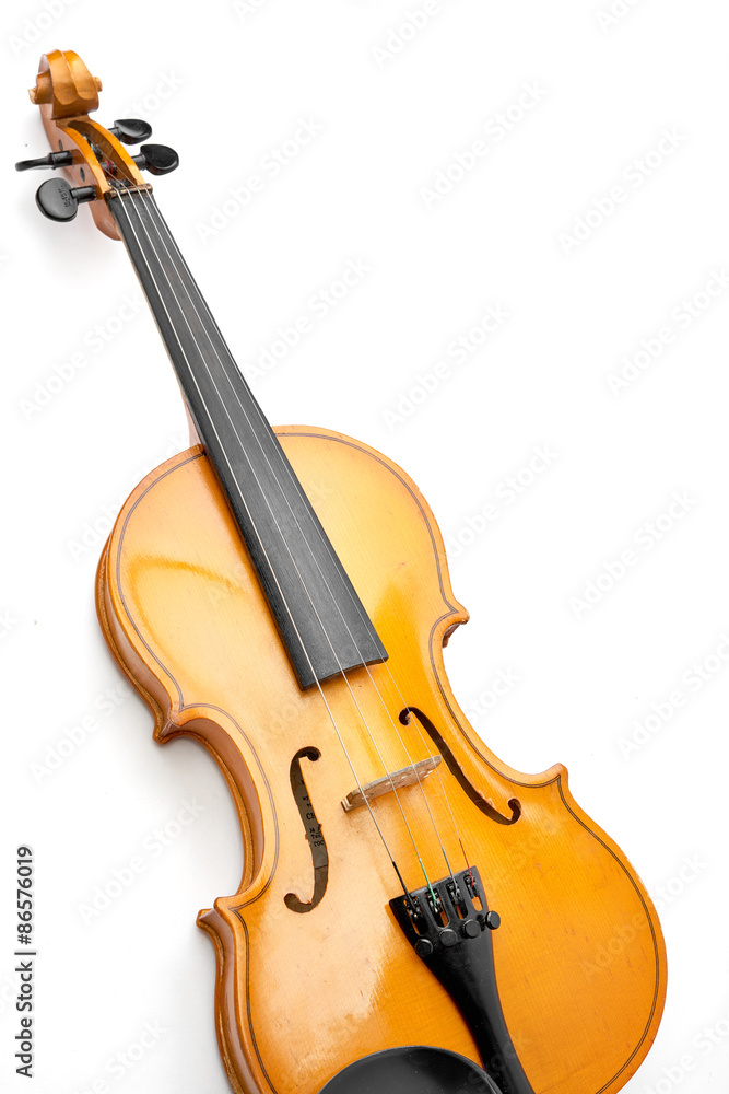 Obraz premium violin on white background