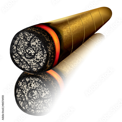Cigar Cuban isolated vector