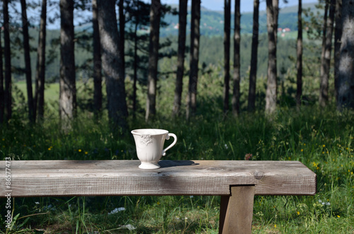 Cup on a bench